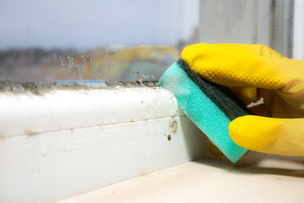 Best Mold Remediation Experts  in Stonebridge, NJ