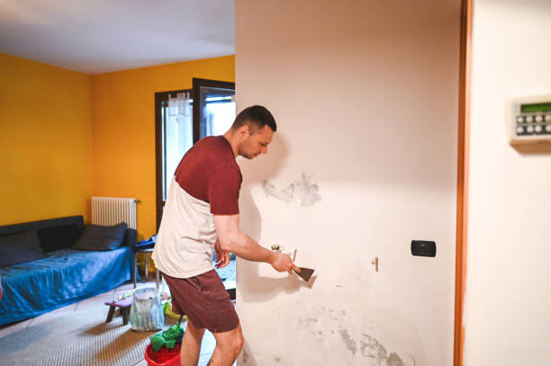 Best Black Mold Removal  in Stonebridge, NJ