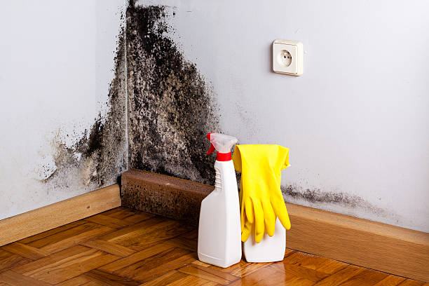 Best Water Damage Restoration  in Stonebridge, NJ