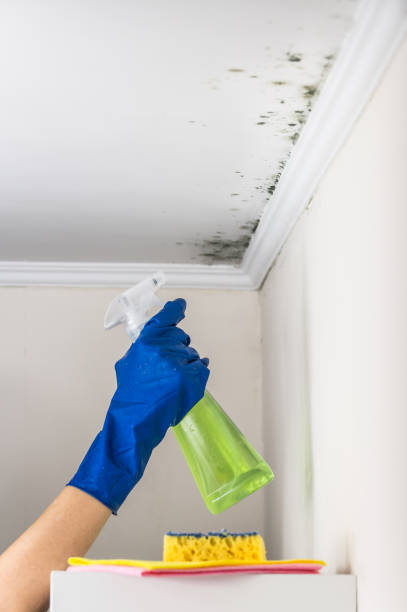 Best Mold Testing  in Stonebridge, NJ
